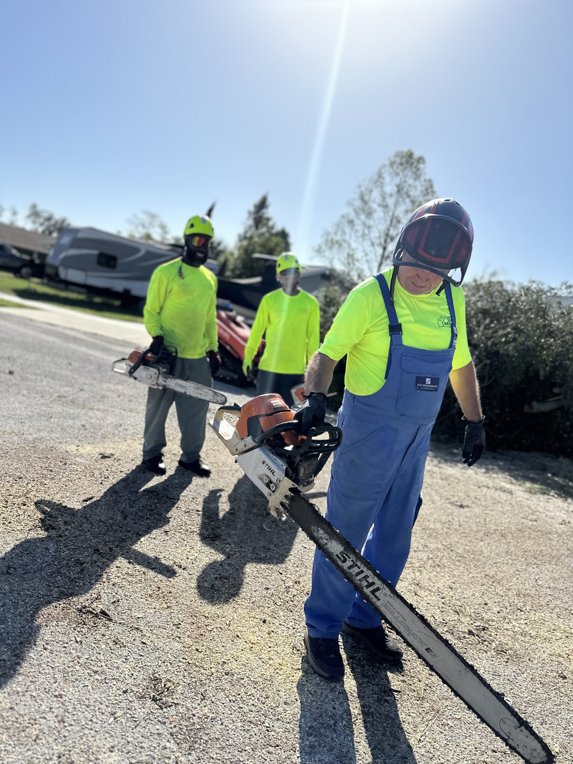 Tree Services in @fname@