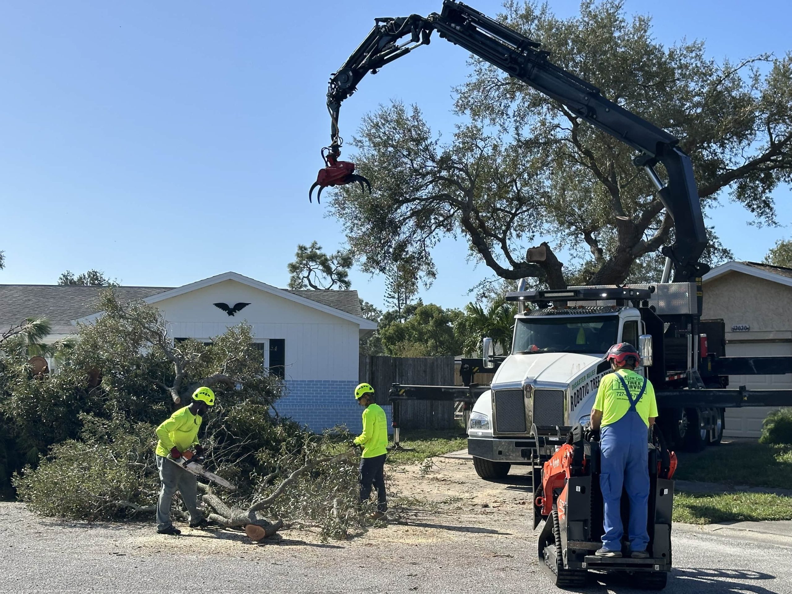 Tree Removal Services