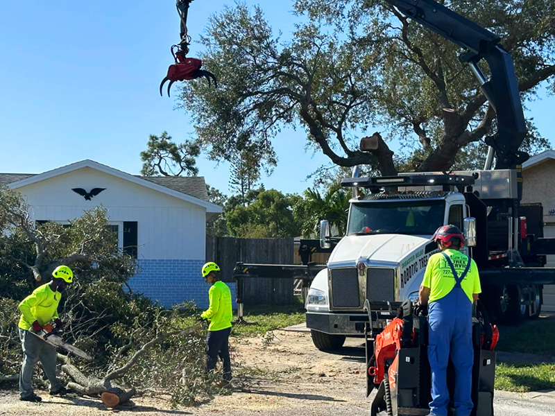 Tree Cutting Service in @fname@