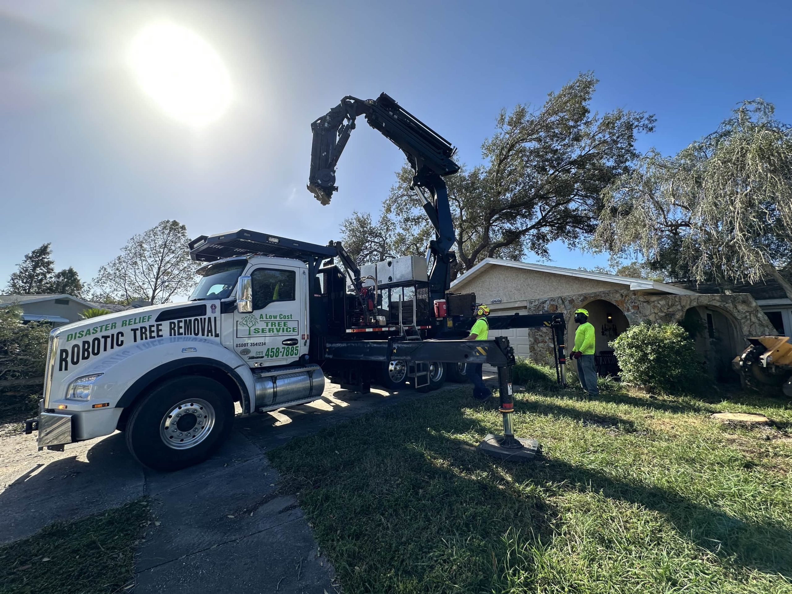 Tree Removal in Dunedin Florida